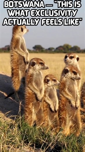 Not Everyone Comes Here… And That’s Why It Matters | This Is What “Private Safari” Should Feel Like