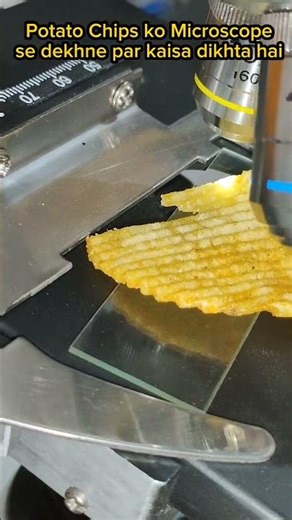 Potato Chips Under Microscope #microbiology #shorts #microscope #microscopevideo #potata