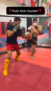Push Kick Counter Block the Kick with your Elbow and Pivot at the same time so you get a good punching angle. Your opponent will be out of position for a second and there is were you have to take advantage and throw your strikes . Very basic way to defend it but very effective . Follow @horaciocft . . . . . . . . #mma #mmafighter #ufcfighter #strikking #striker #muaythai #fyp #foryou #foryoupage #viraL | Horacio Gutierrez