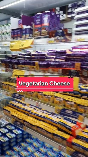 Exploring Vegetarian Cheese Making Techniques