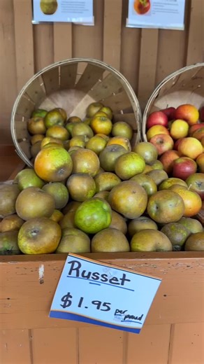 🍎 New Apple Varieties Our apple bins are filling up with new arrivals! 🍏 Look for Russets, Cox Orange, Golden Delicious, Jonagold, and Ambrosia apples, each with their own unique flavour and crunch. Perfect for snacking, baking, or packing in a lunchbox! | Wile's Lake Farm Market