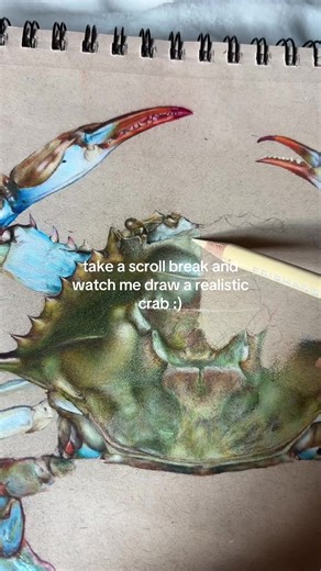 Realistic Crab Drawing Techniques in Colored Pencil