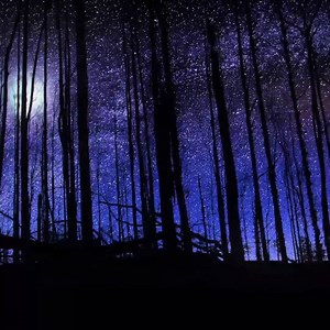 56K views · 913 reactions | If Attenborough did The Predator..... | Predator | Facebook