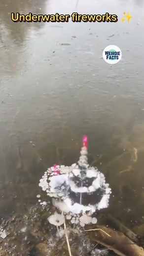 Amazing Underwater Fireworks Experiment | Water Firework Pranks