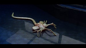 FaceHugger Animation, Nathan Masevski