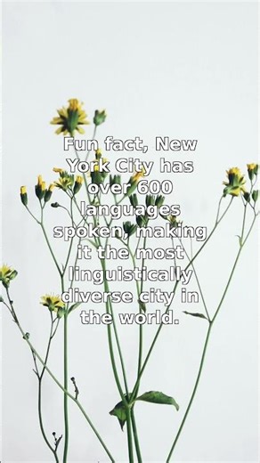 NYC: The World's Most Linguistically Diverse City