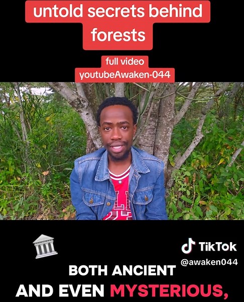 hidden truths behind forests#forest#nature#awakening #spirituality #consciousness