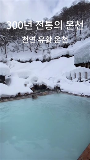 쓰루노유 온천(鶴の湯温泉)은 뉴토 온천향에서 가장 오래된 온천으로, 예전에는 아키타 번주가 요양하던 곳이에요. 🏯♨️ 현관을 지나면 검은 벽과 초가 지붕이 이어져 마치 옛 역참마을로 시간여행한 느낌! ⏳🏠 인기 객실 ‘혼진(本陣)’은 이로리와 기름등만 있고 TV 같은 전자기기가 없어 조용히 레트로 감성을 즐길 수 있어요. 🔥🕯️ 온천은 4가지 원천(시로유·구로유·나카유·타키유)이라 수질과 느낌이 달라 골라 즐기는 재미가 있고, 유명한 혼욕 노천탕은 푸른 기가 도는 유백색 탕이라 정말 예뻐요. 💙🤍 발밑에서 온천이 솟는 ‘아시모토 유센(脚下湧泉)’도 꼭 체험해 보세요! 👣✨ #뉴토온천향 #쓰루노유온천 #아키타여행 #설경온천 #노천탕