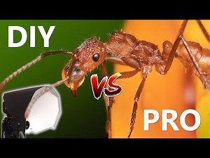PRO Flash Diffuser VS DIY Flash Diffuser for Macro Photography