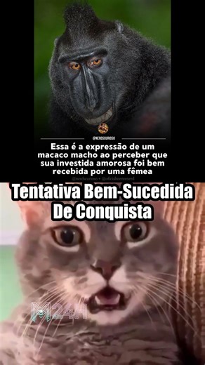 The entire forest captured in a single drop of dew 🌿