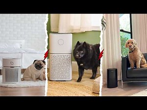 7 Best Air Purifier for Pets and Dust 2026! Tested & Tried