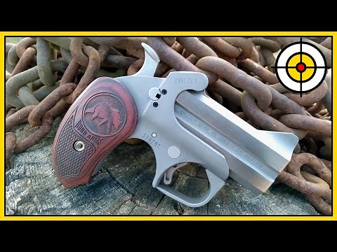 🐻Not Your Average Bear!🐻 Bond Arms Grizzly .45 Colt & .410 Derringer Range Review & First Shots!