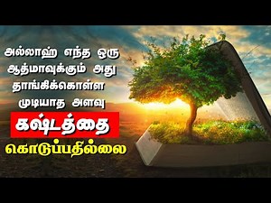 அல்குர்ஆனின் 30 ஆழமான கருத்துக்கள் | Best 30 Quotes From Quran | Tamil bayan | OWQuran