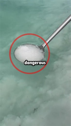 This is why Seasalt is DANGEROUS... 🤔