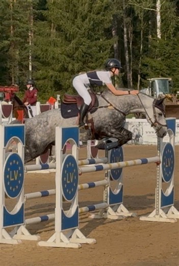 Exciting Day 1 of Equestrian Show Jumping Competition