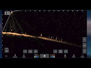 Garmin Livescope Plus LVS34 video shallow water to deep