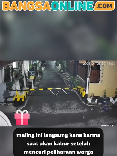 Instant Karma pada Maling Burung Ini