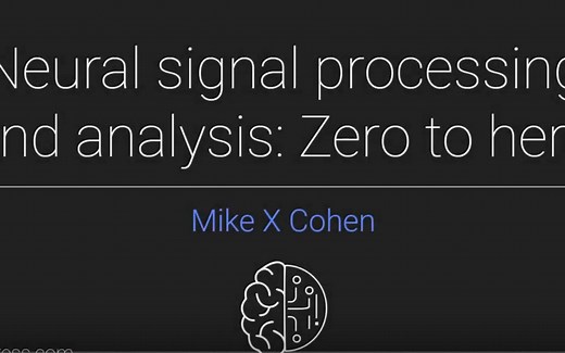 MX Cohen : Neural signal processing and analysis Zero to hero(Michael X Cohen)