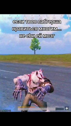 Exploring a Unique Wolf-Inspired Character Animation