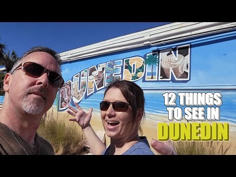 Dunedin: 12 Must-See Things Around the City