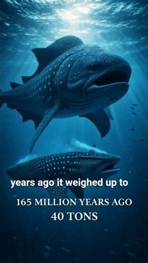 Leedsichthys – The 40-Ton Ocean Monster