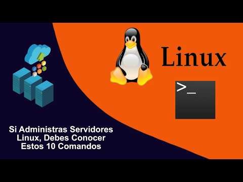 The 10 Commands Every Linux Administrator Should Know