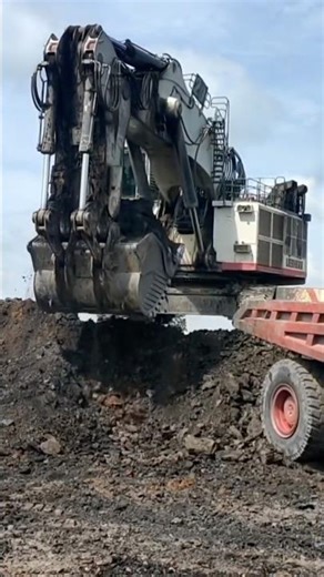 Excavator LIEBHERR loading soil 3 times full load Heavy Equipment #power engin #caterpillar #machine