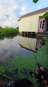 Tutorial Slingshot Cast terakhir | Adit Angler