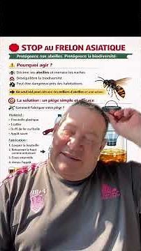 Stop the Asian hornet! How to make a trap? To avoid catching bees.