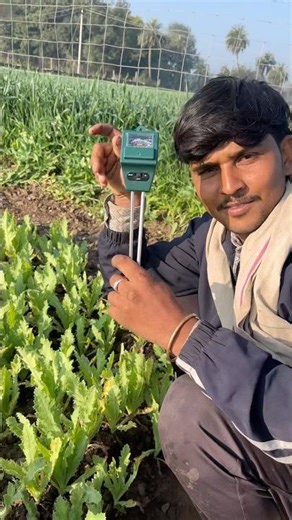 Ye ph meter bacha sakta hai aap ke lakho rupaye 💯#shortvideo #farming #khetibadi #kheti #farmer