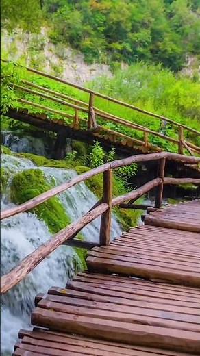 Welcome to Soothing Relaxation 💚 Home of Relaxing Music & Beautiful Nature