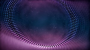 Kiwi, Eyebrow, Light, Design