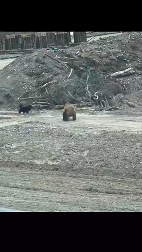 Epa epa 😂👍 | Juan Fernando Jorge Colqui