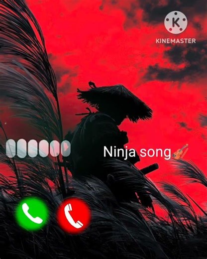 #ninja #ninjaturtles #ninja250 #ninjago #ninjawarrior #ninja250fi #ninjas #ninja300 #ninjaturtle 🚀☠️