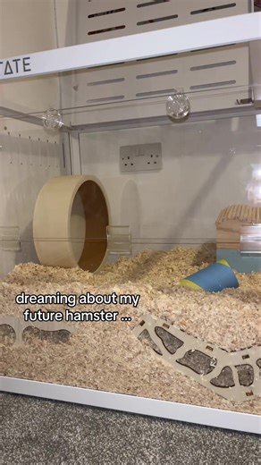 Dreaming About My Future Hamster: Care and Tips