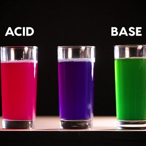 The red cabbage PH test you can do at home! | Seeker by The Verge