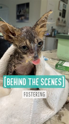 429K views · 17K reactions | Behind the scenes. If you have...