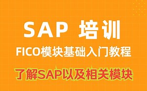 0基础学SAP！（一）了解SAP FICO以及相关模块