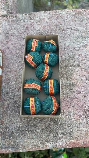 Champion💥 #diwalicelebration #firworks #experiment #diwalifestival #diwali diwalicrackers #cracker