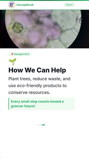 Conservation of Plants and Animals, Class 8 Science | Chapter 7 | Class 8 Biology | NCERT | ConceptS