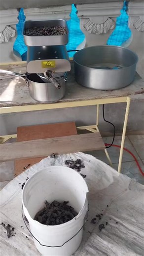 Making Castor Oil: Step-by-Step Guide