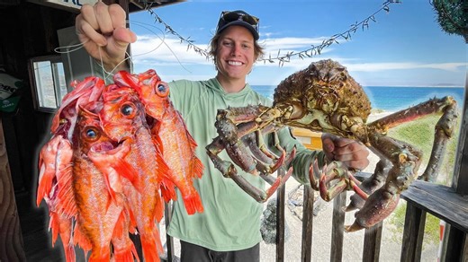 Whole Fried Fish w/ Giant Spider Crab on an Island! - Catch and Cook