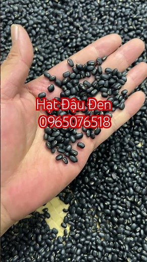 Black beans with green centers, where to buy black beans, black bean price, where to sell black b...