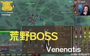 OldSchool RuneScape 荒野Boss Venenatis + Spindel（大蜘蛛）