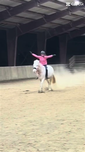 First time cantering without a bridal yes there was a neck rope and halter, but it def count#foryou