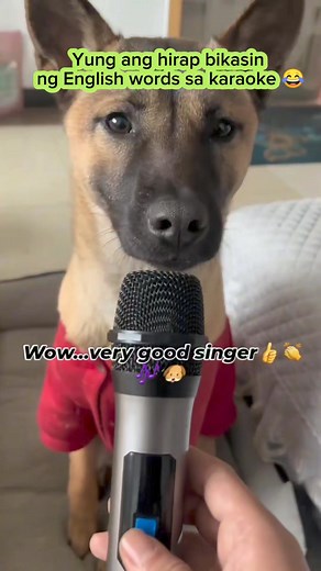 13K views · 110 reactions | Difficult English Lyrics in Karaoke be like 藍 #English #lyrics #struggle #karaoke #justforfun #fypシ゚ #reelsvideoシ #fbreelsvideo #everyone #followers | Learning Buddy | Facebook