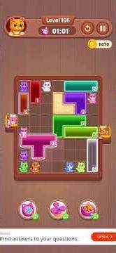 Catdom: Color Hole – Level 166 Walkthrough 🐱🟩✨