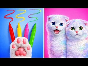 Cats Try Viral TikTok Trends 😂🐾 Funniest Reactions You’ll Ever See! | 123GO!