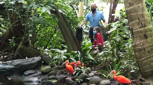 18K views · 74 reactions | Plan Your Spring Break Road Trip to Moody Gardens. Journey to the Rainforest and Aquarium pyramids, 3D and 4D theaters, with an afternoon cruise or hotel getaways with spa, golf and great dining. Save and book direct: www.moodygardens.org/Spring | ABC13 Houston | Facebook