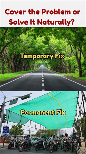 Cover the Problem or Solve It Naturally#environment #Nature #viral #motivation #trending #ecoliving